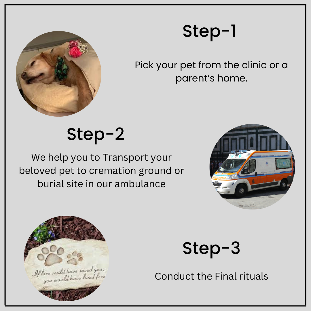Pet Cremation Booking Process