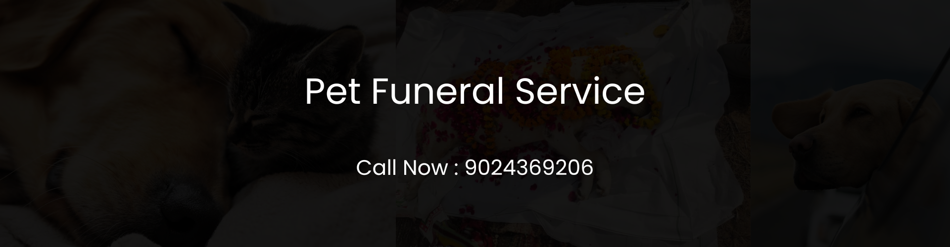 Pet Funeral Service In India